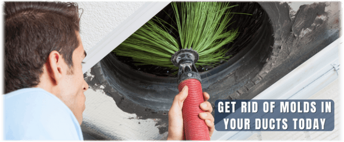 Air Duct Mold Removal in Colleyville TX