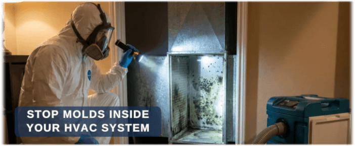 HVAC Mold Removal Colleyville TX